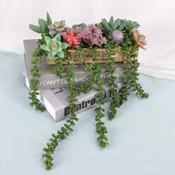 CEWOR 4pcs Artificial Succulents Hanging Plants Fake String Of Pearls For Wall Home Garden Decor (24 Inches Each Length) -Green Leaf Store 51aAkYhvvTL