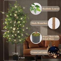 NeuType Artificial Ficus Tree 6FT, 2Packs Fake Ficus Tree Plant With Warm White LED String Lights, Tall Fake Plant Potted Faux Tree Indoor Home Office Decor Floor Plants For Living Room (71 In) -Green Leaf Store 51aLGmIAjrL