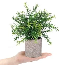 CEWOR 2 Pack Artificial Plants Mini Potted Plants Fake Bamboo Leaves Faux Rosemary Small House Plants For Home Office Desk Room Decor 7 CEWOR 2 Pack Artificial Plants Mini Potted Plants Fake Bamboo Leaves Faux Rosemary Small House Plants For Home Office Desk Room Decor -Green Leaf Store 51bOmo9sLBL