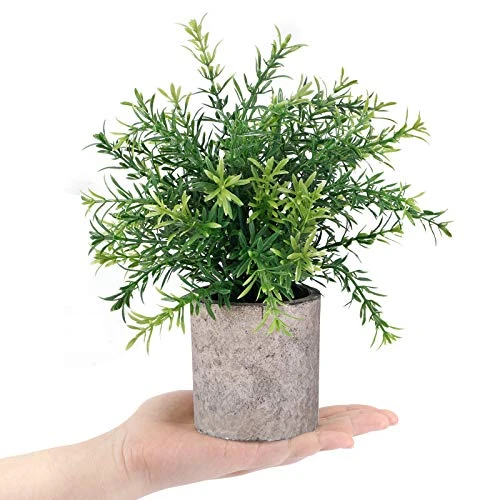 CEWOR 2 Pack Artificial Plants Mini Potted Plants Fake Bamboo Leaves Faux Rosemary Small House Plants For Home Office Desk Room Decor 3 CEWOR 2 Pack Artificial Plants Mini Potted Plants Fake Bamboo Leaves Faux Rosemary Small House Plants For Home Office Desk Room Decor - Image 3