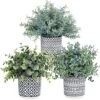 Set Of 3 Assorted Small Potted Plants Fake Eucalyptus Rosemary Plants In Black & White Geometric Concrete Ceramic Pots For Table Centerpiece Desk Shelf Kitchen Office Indoor Outdoor Greenery Decor -Green Leaf Store 51cEJ3HazDL