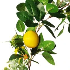 BWOLE 6 Feet Artificial Lemon Garland Spring Fruit Garland With Lemons Artificial Lemon Vine Garland For Front Door Home Kitchen Party Wedding Decor -Green Leaf Store 51cnfjWJeTL