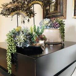 Caqpo Artificial Succulents - 15 Pack - Premium Unpotted Succulent Plants Artificial - Realistic Textured Succulents - Fake Succulent Plants For DIY - Faux Cactus Plant Bulk - Feaux Succulent Plants 11 Caqpo Artificial Succulents - 15 Pack - Premium Unpotted Succulent Plants Artificial - Realistic Textured Succulents - Fake Succulent Plants For DIY - Faux Cactus Plant Bulk - Feaux Succulent Plants -Green Leaf Store 51cuH8IHq9L