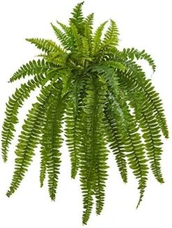 Nearly Natural 35” Boston Fern Artificial (Set Of 2) Silk Plants Green & 5357 4ft. Golden Cane Palm Tree,Green -Green Leaf Store 51dCqYhP6gL. AC 1