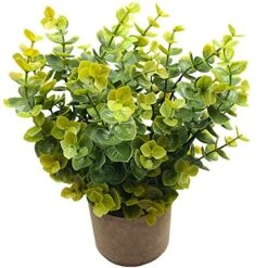 Svenee Mini Potted Plants Artificial Flocked Eucalyptus Greenery In Pots Faux Potted Herbs Small Houseplants For Indoor Outdoor Greenery Tabletop Decoration Centerpiece, Garden,Farmhouse (1)