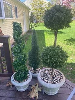 Silk Tree Warehouse Company Inc Two 56 Inch Outdoor Artificial Boxwood Double Ball Topiary Trees Potted Plants -Green Leaf Store 51dfk6C8XcL