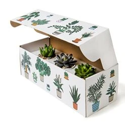 Dipiti Artificial Succulent Plants In Pots-Set Of 3|Black And White Ceramic Planters|Faux Plants Indoor & Outdoor|Gifts For Women|Kitchen Office Bathroom Desk Bedroom Shelf Decor|Potted Fake Plants -Green Leaf Store 51djgmIFWFS