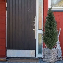 Momoplant Artificial Topiary Cedar Outdoor - 【 2 Pack 】 47 Inch Faux Topiary Boxwood Tree 4Ft Fake Greenery Plant With Black Pot For Home Office Decor -Green Leaf Store 51dyErMIJwL