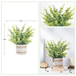 HC STAR Mini Fake Plants Artificial Potted Green Plastic Plants,Small Houseplants For Home Decor Office Desk 11 HC STAR Mini Fake Plants Artificial Potted Green Plastic Plants,Small Houseplants For Home Decor Office Desk -Green Leaf Store 51e80hEKWvL