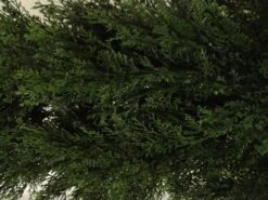 Silk Tree Warehouse Five 3 Foot Artificial Cedar Topiary Trees Potted Indoor Or Outdoor