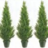 Three 3 Foot Artificial Cedar Topiary Trees Potted Indoor Or Outdoor 15 Three 3 Foot Artificial Cedar Topiary Trees Potted Indoor Or Outdoor -Green Leaf Store 51erSHdZ42L