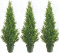 Three 3 Foot Artificial Cedar Topiary Trees Potted Indoor Or Outdoor