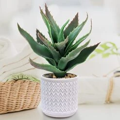 Set Of 3 Assorted Small Potted Plants Fake Eucalyptus Boxwood Plants And Aloe Succulent Plant In Gray Geometric Concrete Ceramic Pots For Gifts Home Kitchen Table Desk Indoor Outdoor Greenery Decor -Green Leaf Store 51f3WsRw8rL