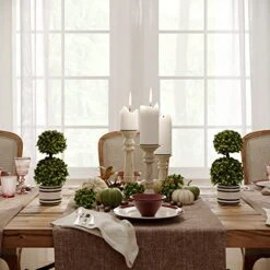 Barnyard Designs Set Of 2 (12.5") Artificial Boxwood Topiary Potted Plant Decorations, Mini Faux Fake Plant Greenery Arrangements In Pots For Office Desk Or Home Decor, 5.5" X 12.5" 11 Barnyard Designs Set Of 2 (12.5") Artificial Boxwood Topiary Potted Plant Decorations, Mini Faux Fake Plant Greenery Arrangements In Pots For Office Desk Or Home Decor, 5.5" X 12.5" -Green Leaf Store 51fY9G9UqnL