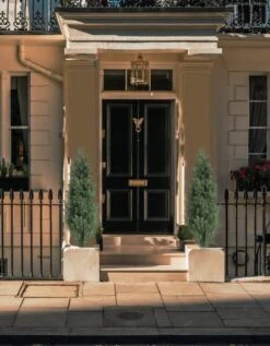 Momoplant (Set Of 2 4 Foot Artificial Cypress Topiary Tree Cedar Potted Plant Outdoor/Indoor 12 Momoplant (Set Of 2 4 Foot Artificial Cypress Topiary Tree Cedar Potted Plant Outdoor/Indoor -Green Leaf Store 51fwGFlVOSL