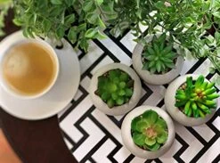 Artificial Succulent Plants In Cement Pots, Set Of 4 - Realistic Faux Potted Plant For Home, Apartment, Or Office - Decorative Fake Succulents - For Desk, Bookshelf, Or Kitchen -Green Leaf Store 51fxiB2qHDL