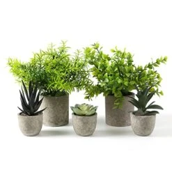 Memeaty Set Of 5 Small Fake Plants Artificial Rosemary Peppermint Plants Fake Succulents Plants In Pot For Home Office Decoration,Artficial Greenery Faux Plants Indoor For Table Shelf Decor 9 Memeaty Set Of 5 Small Fake Plants Artificial Rosemary Peppermint Plants Fake Succulents Plants In Pot For Home Office Decoration,Artficial Greenery Faux Plants Indoor For Table Shelf Decor -Green Leaf Store 51g9ASa3tuL
