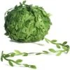Naidiler 265 Ft Leaf Ribbon, Artificial Vines Leaves String Trim Ribbon Wild Jungle Botanical Greenery For Baby Shower Party Wedding Home Wreaths & DIY Craft 18 Naidiler 265 Ft Leaf Ribbon, Artificial Vines Leaves String Trim Ribbon Wild Jungle Botanical Greenery For Baby Shower Party Wedding Home Wreaths & DIY Craft -Green Leaf Store 51gGkIdsRKL