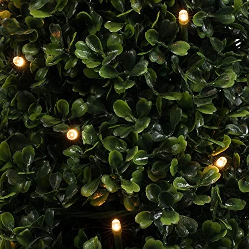 Vickerman Everyday Artificial Pre-Lit Boxwood Topiary Cone 36 Inch Tall - UV Resistant Indoor Outdoor - Potted Natural Green - Faux Tree Decoration Home Patio Entryway 3 Vickerman Everyday Artificial Pre-Lit Boxwood Topiary Cone 36 Inch Tall - UV Resistant Indoor Outdoor - Potted Natural Green - Faux Tree Decoration Home Patio Entryway - Image 3