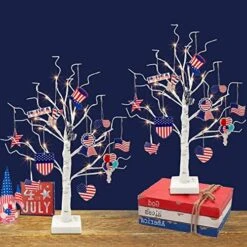 PEIDUO Artificial Tree For Table Decor, Battery Powered Tree Lights With Timer, Lighted Birch Tree With LED Lights For Home, Bedroom, Office, Living Room, Wedding Decor (2FT 24LT Warm White) -Green Leaf Store 51gOlj5VX0L. AC