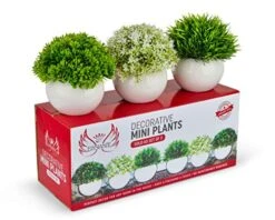 ELYSIANZE Mini Artificial Plants | Modern Farmhouse Plants Home Decor | Small Fake Plants | Office/Kitchen/Bathroom/Bedroom/Mantle/Shelf/Living Room/Table Decoration Faux Plant Set 7 ELYSIANZE Mini Artificial Plants | Modern Farmhouse Plants Home Decor | Small Fake Plants | Office/Kitchen/Bathroom/Bedroom/Mantle/Shelf/Living Room/Table Decoration Faux Plant Set -Green Leaf Store 51h8zCC3j0L