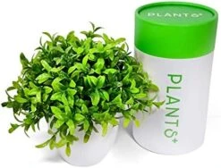 Plants+ Artificial Fake Faux Indoor House Desk Office For Decoration - Plastic Lifelike Flower With White Pot, Outdoor Decor Topiary Greenery, Set Of 1, Lavender -Green Leaf Store 51hPglIxn4L. AC