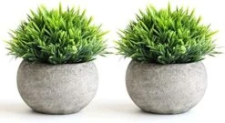 THE BLOOM TIMES 2 Pcs Fake Plants For Bathroom/Home Office Decor, Small Artificial Faux Greenery For House Decorations (Potted Plants) -Green Leaf Store 51haRc6l L. AC