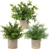 Briful Artificial Potted Plants Set Of 3 Small Faux Plant Eucalyptus Mini Fake Plant Decor For Home Table Office Room Desk Bathroom Shelf Kitchen Rustic Farmhouse Mantel Decoration -Green Leaf Store 51hvlWAnfWS