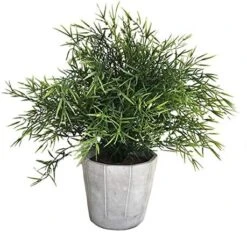 Cyrra Small Size Bathroom Living Room Laundry Room Guest Room Shop Table Shelf Decor Ideas Indoor Green Artificial Grass Shrub Plants 8 (High) X 4 (Pot Diameter Inch (Nandina S) 11 Cyrra Small Size Bathroom Living Room Laundry Room Guest Room Shop Table Shelf Decor Ideas Indoor Green Artificial Grass Shrub Plants 8 (High) X 4 (Pot Diameter Inch (Nandina S) -Green Leaf Store 51hwLUY4wFL. AC