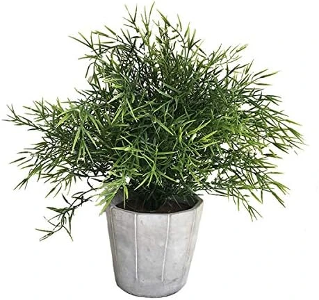 Cyrra Small Size Bathroom Living Room Laundry Room Guest Room Shop Table Shelf Decor Ideas Indoor Green Artificial Grass Shrub Plants 8 (High) X 4 (Pot Diameter Inch (Nandina S) 6 Cyrra Small Size Bathroom Living Room Laundry Room Guest Room Shop Table Shelf Decor Ideas Indoor Green Artificial Grass Shrub Plants 8 (High) X 4 (Pot Diameter Inch (Nandina S) - Image 6