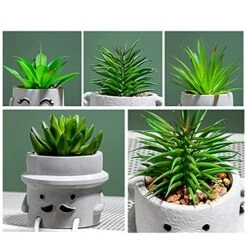 Lavenor Artificial Potted Plant Fake Succulent Plant Cute Hanging Leg Emotional Cement Potted Succulents Decor For Desk Shelf Bedroom Living Room And Office Decoration(Type A + Type C) 18 Lavenor Artificial Potted Plant Fake Succulent Plant Cute Hanging Leg Emotional Cement Potted Succulents Decor For Desk Shelf Bedroom Living Room And Office Decoration(Type A + Type C) -Green Leaf Store 51i5E8cTbOL