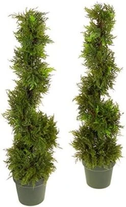 Admired By Nature Aritificial Double Ball,Shaped Boxwood Topiary In Plastic Pot, Green (GTR4634-NATURAL-2), 3ft -Green Leaf Store 51iCJxHQnLL. AC