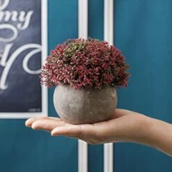 T4U Plastic Artificial Plants Fake Plants With Pots Decorative Colorful Lifelike Flower For Home/Office Decor Pack Of 3 11 T4U Plastic Artificial Plants Fake Plants With Pots Decorative Colorful Lifelike Flower For Home/Office Decor Pack Of 3 -Green Leaf Store 51iHBSb73TL