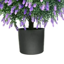 Sunnyglade 21.6” Tall Artificial Lavender Topiary Ball Tree Set Of 2 Pack Potted Bushes UV Resistant Potted Plants For Indoor Outdoor Home Garden(Purple) 10 Sunnyglade 21.6” Tall Artificial Lavender Topiary Ball Tree Set Of 2 Pack Potted Bushes UV Resistant Potted Plants For Indoor Outdoor Home Garden(Purple) -Green Leaf Store 51iW8xFg6zL