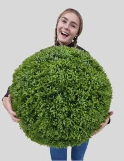 365 Curb Appeal - 23" XL Cedar (Cypress) Topiary Ball | Artificial Mum Spheres | Garden Spheres | Outdoor Topiary Ball | Decorative Topiary Balls For Wedding | Green Topiary Balls Decor | UV Protected 19 365 Curb Appeal - 23" XL Cedar (Cypress) Topiary Ball | Artificial Mum Spheres | Garden Spheres | Outdoor Topiary Ball | Decorative Topiary Balls For Wedding | Green Topiary Balls Decor | UV Protected -Green Leaf Store 51iaNQv4g4L. AC