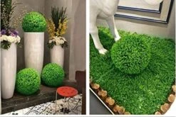 OOKi- 7 Inch Artificial Boxwood Ball Topiary Lifelike Plants Half Round Topiary For Home Garden, Front Patio, Planter, Deck, Backyard Indoor/Outdoor Decore, Rose Leaf (7 Inch) -Green Leaf Store 51iaS2UyBZL 1