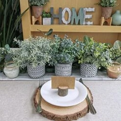 Set Of 3 Assorted Small Potted Plants Fake Eucalyptus Rosemary Plants In Black & White Geometric Concrete Ceramic Pots For Table Centerpiece Desk Shelf Kitchen Office Indoor Outdoor Greenery Decor 8 Set Of 3 Assorted Small Potted Plants Fake Eucalyptus Rosemary Plants In Black & White Geometric Concrete Ceramic Pots For Table Centerpiece Desk Shelf Kitchen Office Indoor Outdoor Greenery Decor -Green Leaf Store 51icH4L2opL