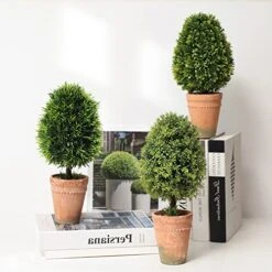 （3 Pack） Faux Small Topiary Tree In Stone Basin 13inchs Height Artificial Boxwood Tree Grass Potted Faux Plant For Home Office Table Desk Shelves Decor -Green Leaf Store 51ilDUEMQ1L