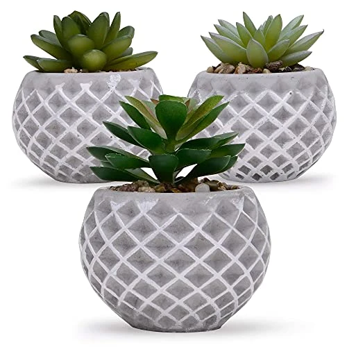 Succulent Decor, Fake Succulents, Succulent Wall Decor, Succulents Artificial Decor, Small Fake Plant, Succulent Decoration, Potted Plants, Set Of 3 Succulents 1 Succulent Decor, Fake Succulents, Succulent Wall Decor, Succulents Artificial Decor, Small Fake Plant, Succulent Decoration, Potted Plants, Set Of 3 Succulents