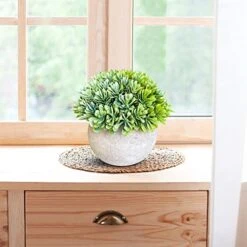 GENERIC 3 Bundle Pack Small Potted Artificial Fake Plastic Plants, Faux Desk Shrub Plants For Indoor Home Office Kitchen Bathroom Farmhouse CoffeeTable Room Decor 10 GENERIC 3 Bundle Pack Small Potted Artificial Fake Plastic Plants, Faux Desk Shrub Plants For Indoor Home Office Kitchen Bathroom Farmhouse CoffeeTable Room Decor -Green Leaf Store 51jJLNhujJL