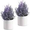 HomEdge Artificial Mini Potted Lavender, Artificial Plastic Plant Greenery With Pot For Home, Office Desk Decoration -Green Leaf Store 51ji4T1fLjL