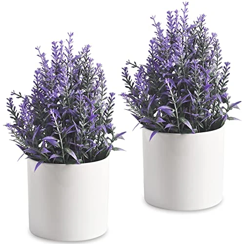 HomEdge Artificial Mini Potted Lavender, Artificial Plastic Plant Greenery With Pot For Home, Office Desk Decoration 1 HomEdge Artificial Mini Potted Lavender, Artificial Plastic Plant Greenery With Pot For Home, Office Desk Decoration