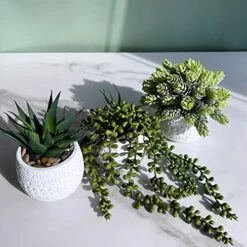 Winlyn 3 Pcs Assorted Small Potted Succulent Plants Artificial Aloe Hanging Succulent In White Geometric Concrete Ceramic Pots For Gift Party Wedding Favors Windowsill Table Shelf Indoor Outdoor Decor -Green Leaf Store 51jrRZuvhRL