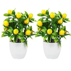 FQQWEE 2Pcs Artificial Lemon Tree Potted Plants 10Inch Mini Greenery Fake Lemon Fruit Bonsai Simulation Yellow Lemon Tree Topiary Plants For Home Offoce Party Decoration …