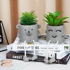 Natheeph 2 Pcs Succulents Plants Artificial Fake Plant Faux Succulents Hanging Leg With Cement Potted For Home Office Desk Bedroom Bookshelf Greenery Decoration (Smile & Bear) -Green Leaf Store 51jynmWVc8L. AC