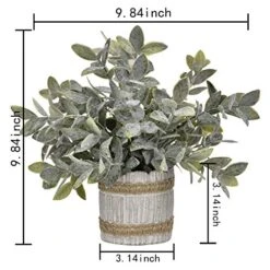 MARTINE MALL Small Potted Artificial Plants Plastic Eucalyptus Pot Plant Fake Plants In Pots Faux Greenery Topiary Shrubs Potted Plants With Vase Plastic Potted Desk Plant For Office Table Home Decor -Green Leaf Store 51kOOCc6YPL
