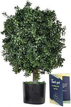 Tin Roof Interiors 24" Tall Artificial Boxwood Shrubs (2), Includes Galvanized Metal Pot, Outdoor Ready, Natural Looking Fake Potted Shrubs -Green Leaf Store 51kbChluYS. AC