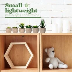 Sophia's Garden Small Artificial Succulents Plants Artificial Potted Fake Plant Decor Bedroom (6 Piece Faux Succulents In Pots 2.3") Fake Succulent Decor Fake Succulents Mini Succulents Desk Office -Green Leaf Store 51kqxj3Dh1L
