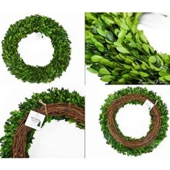 BoxwoodValley Preserved Boxwood Wreath 16 Inch Year Round Green Wreath For Halloween, Christmas Wreath Decor Green Garland For Indoor Green Autumn Wreath Decor (16 Inch) 14 BoxwoodValley Preserved Boxwood Wreath 16 Inch Year Round Green Wreath For Halloween, Christmas Wreath Decor Green Garland For Indoor Green Autumn Wreath Decor (16 Inch) -Green Leaf Store 51kzhn8b13L