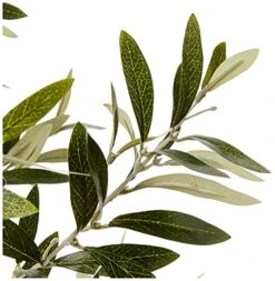 Amazon Brand - Stone & Beam Artificial Olive Tree Topiary With Faux Terracotta Pot, 2.4 Feet (28.8 Inches), Indoor -Green Leaf Store 51l07dmGgnL